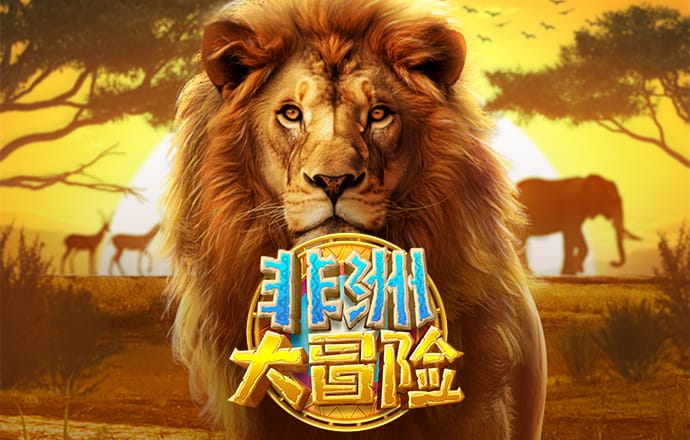 bob半岛·体育官方平台